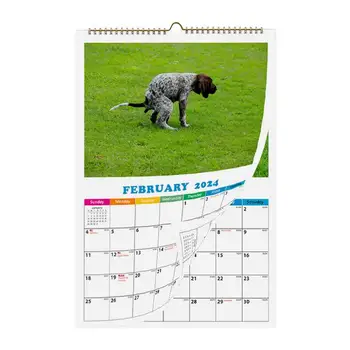 כלב מחרבן 2024 לוח קיר כלבים מחרבן במקומות יפים 2024 לוח מצחיק 12 חודש מתכננת מתנה לחג המולד - התמונה 1  