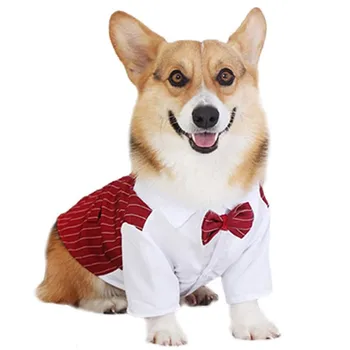 ג ' נטלמן חתונה לחיות מחמד, בגדים עניבת הפרפר רשמית הכלב המעיל כלב קט החתונה מסיבת תחפושות כלבים קטנים מחמד ביגוד יוקרתי כלב #1 - התמונה 1  