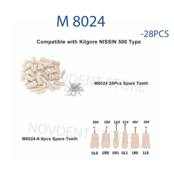 M8024 שיניים NISSIN 500 סוג Typodont המודל שיניים החלפת בורג-שיניים מתאים קילגור - התמונה 1  